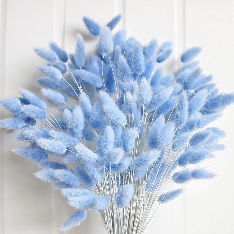 100 adet mavi tavşan kuyruğu ç - Pampas Grass Decor incelemesi ve fiyatı